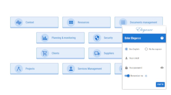 Elegant Systems ISO consultant website